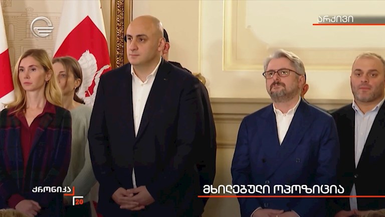 მხილებული ოპოზიცია