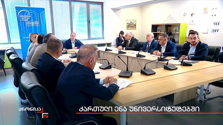 ქართული ენა უნივერსიტეტებში