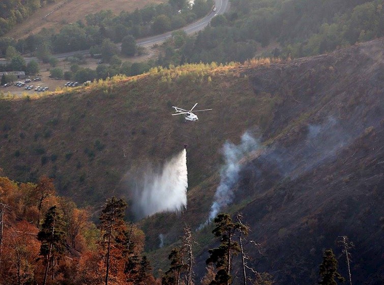 ხანძარი ბორჯომის ხეობაში