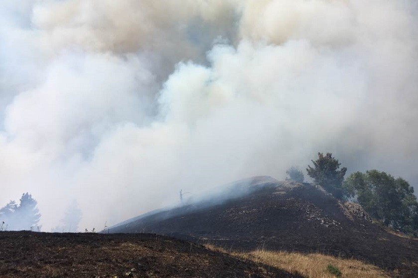ხახაბოს ტყე