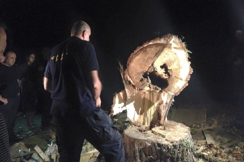 შემთხვევის ადგილი