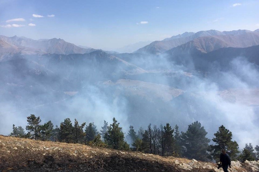 ხახაბოს ტყე
