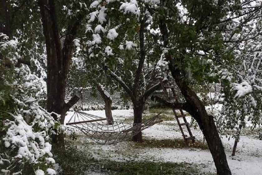 სვანეთი