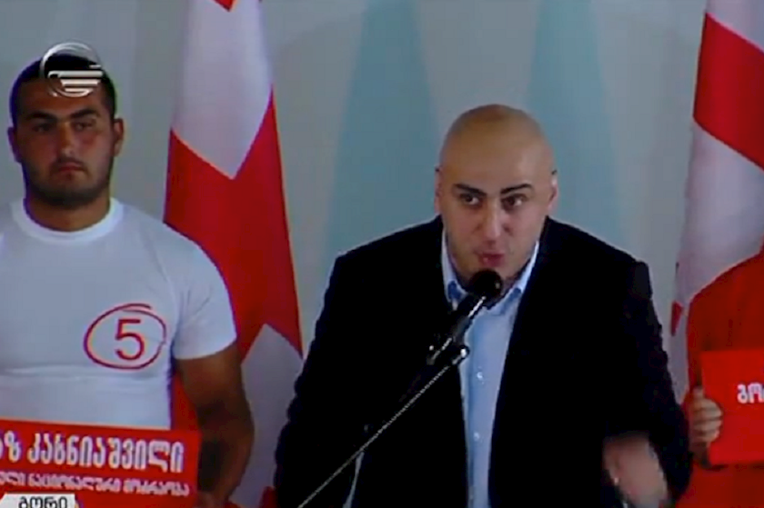 ნიკა მელია