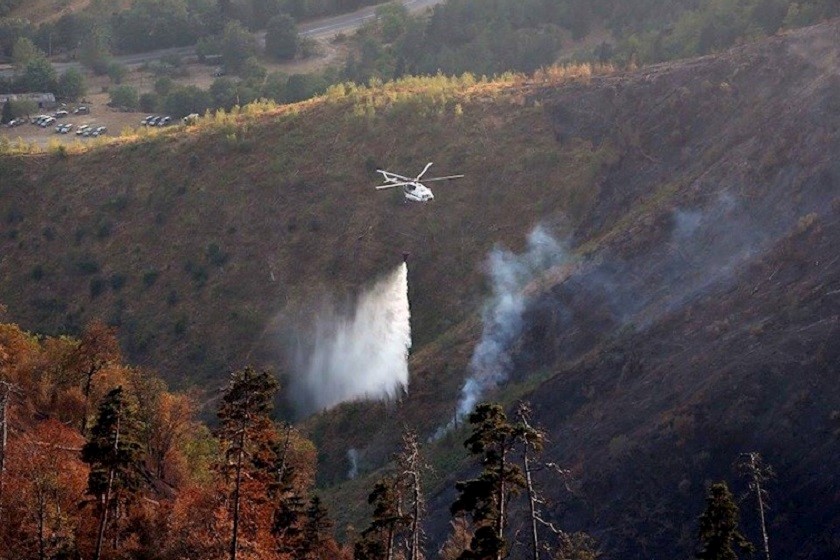ხანძარი ბორჯომის 
ხეობაში