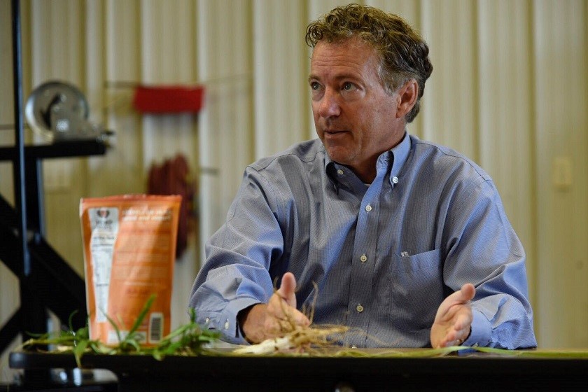 რენდ პოლი