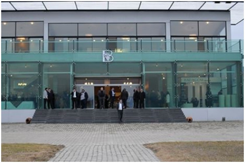 კომპანია ბადაგონი