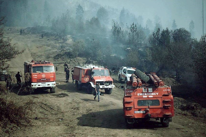 ხანძარი ბორჯომის ტყეში