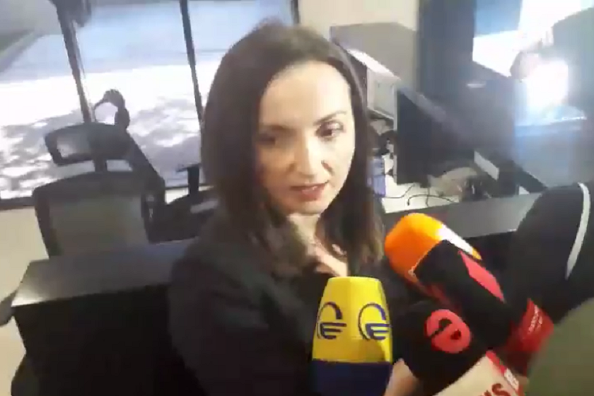 მირზა სუბელიანის ადვოკატი