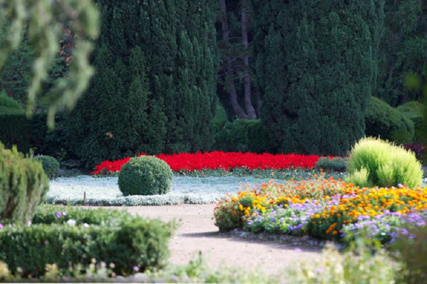 ბოტანიკური ბაღი