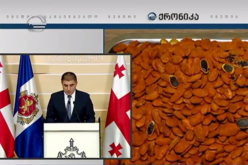 მამუკა ჭელიძე