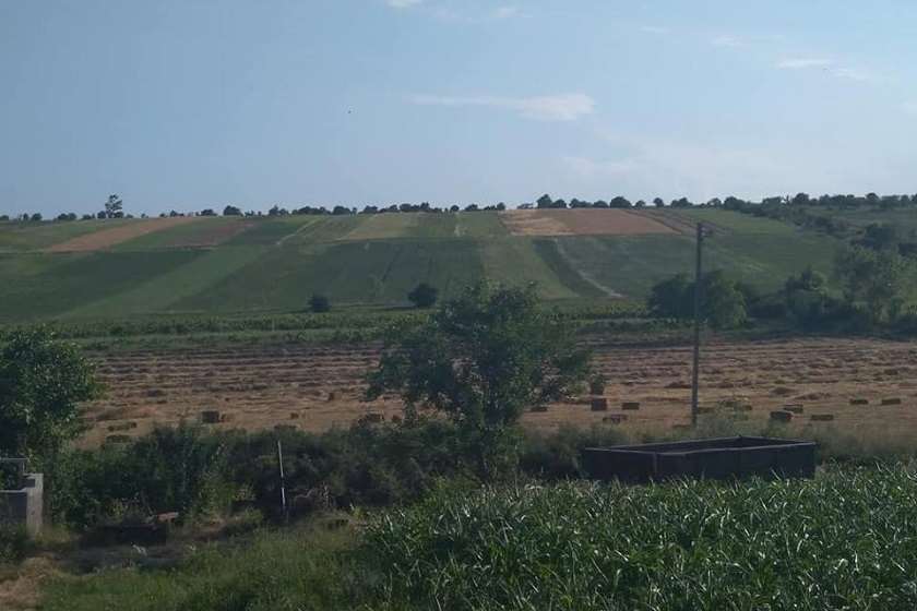 საკორინთლო