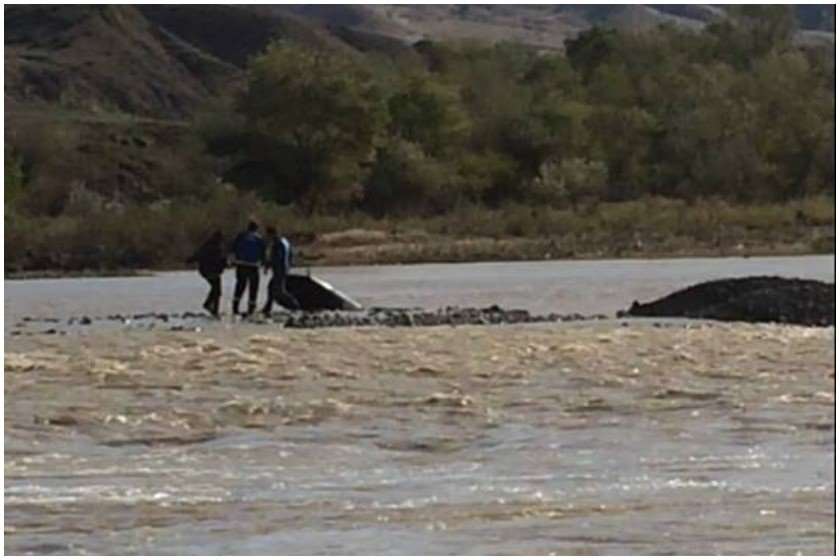 მდინარე რიონი