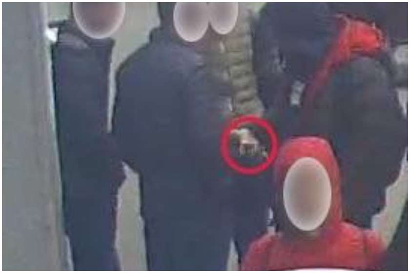 კადრი სათვალთავალო კამერიდან 