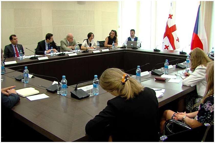 ჩეხეთის დელეგაციის შეხვედრა
პარლამენტში