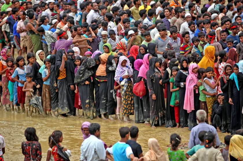 როჰინჯები