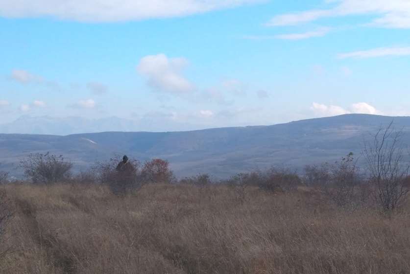 სადემარკაციო სამუშაოები  სოფელ ატოცთან