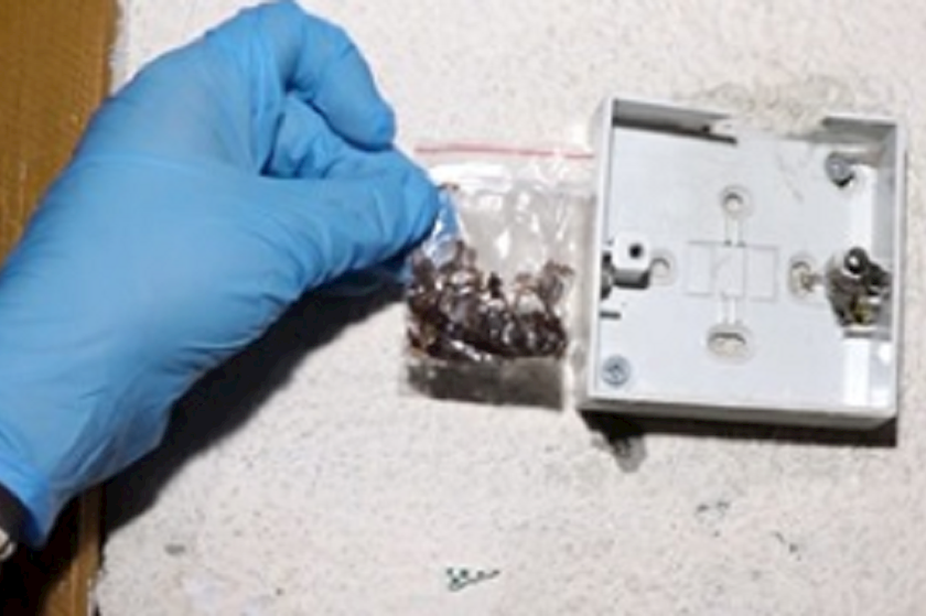 ნარკოტიკი