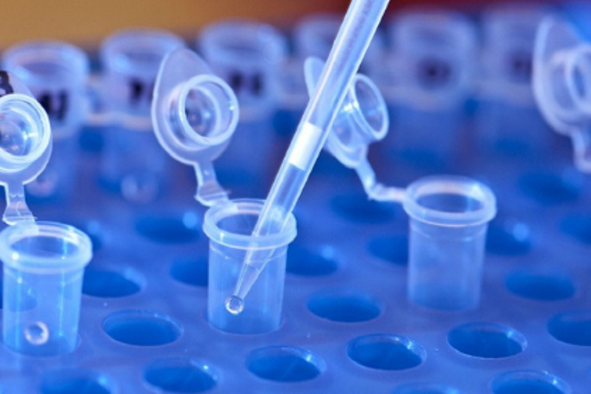 ტყვიის შემცველობა