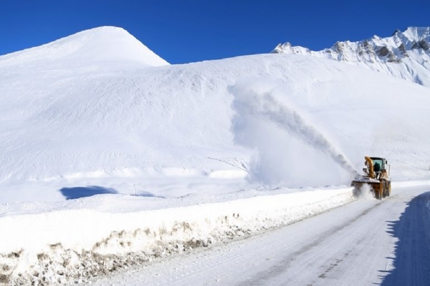 კობი გუდაური