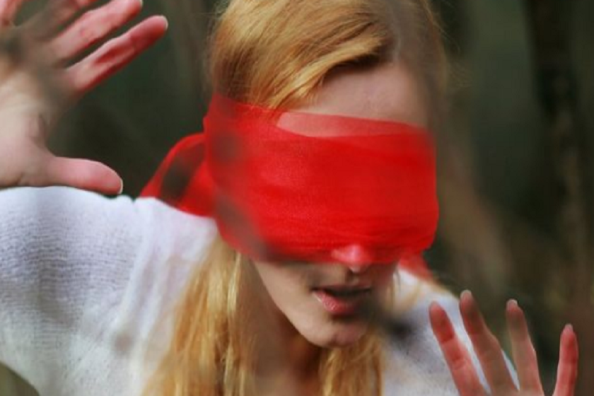 Bird Box