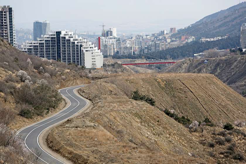 ნაფეტვრები