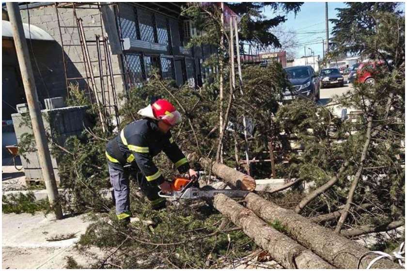 იმერეთი. ქარმა ხეები დააზიანა. 