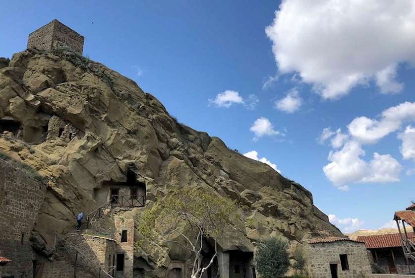 დავით გარეჯი