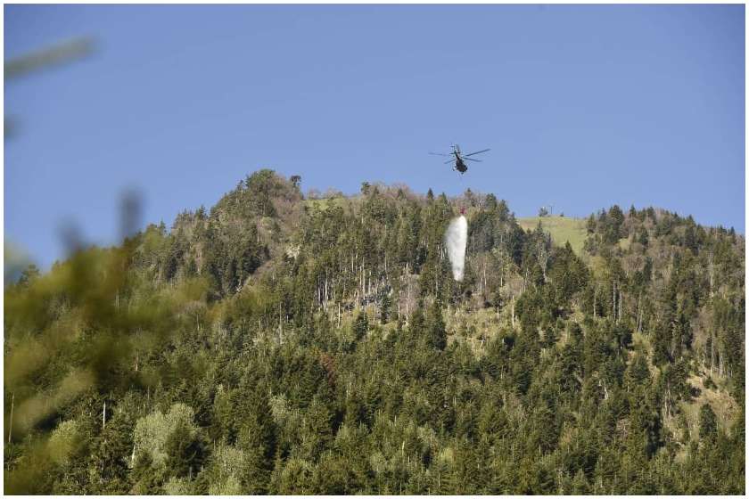 ბორჯომი