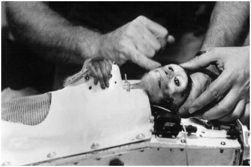 კოსმოსი