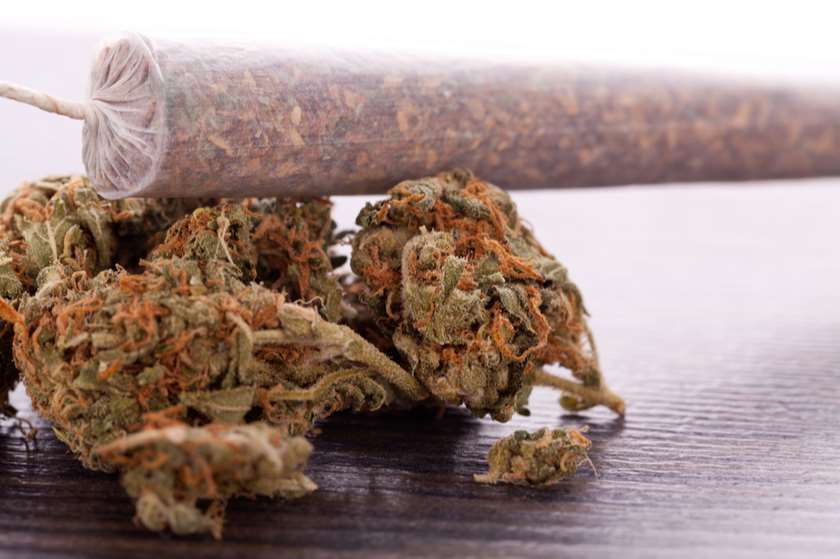 მარიხუანა