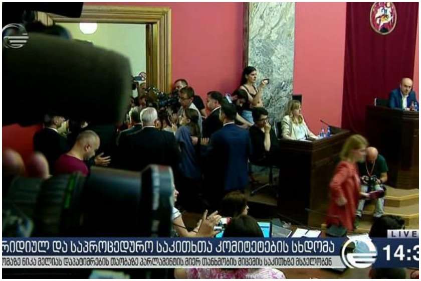 ნიკა მელია