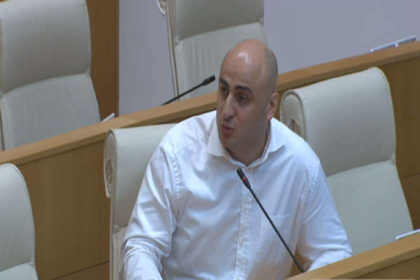 ნიკა მელია