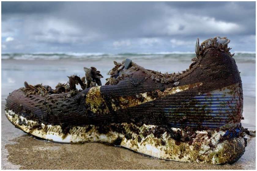 ფეხსაცმელი