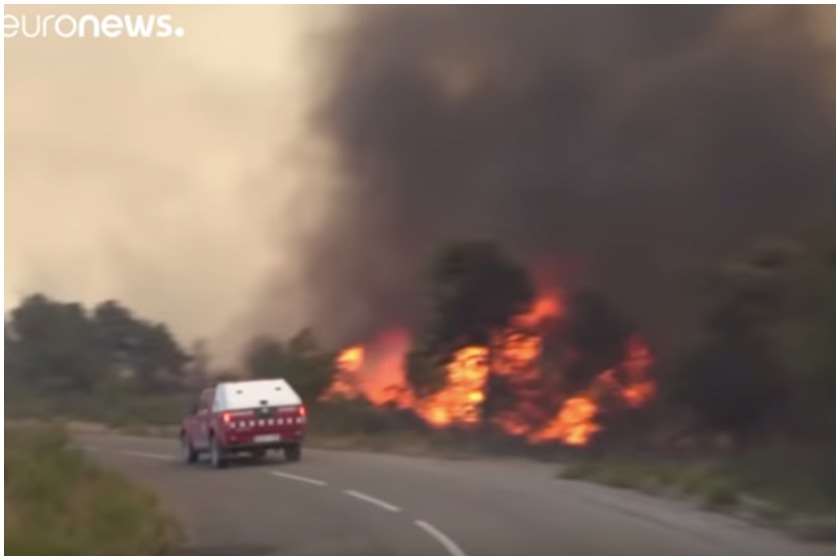 ტყის ხანძარია