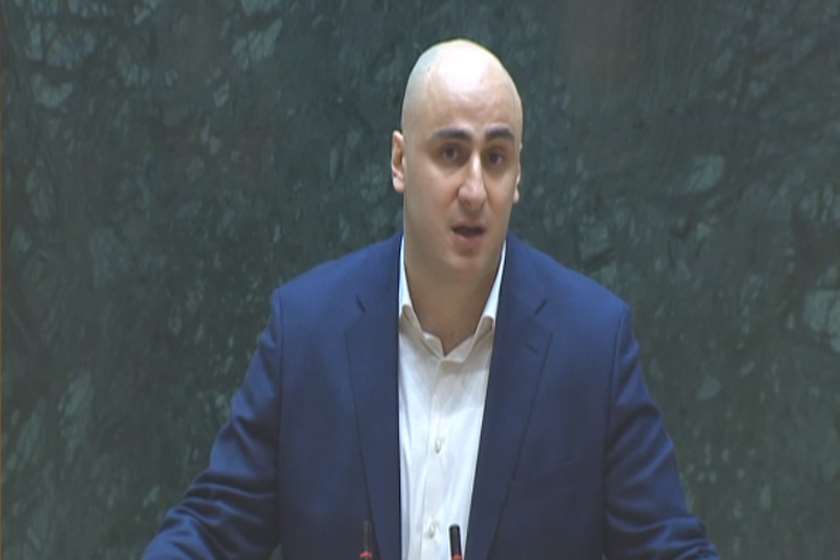 ნიკა მელია