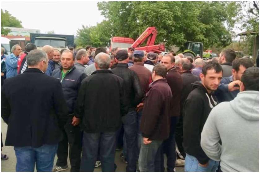 მევენახეები