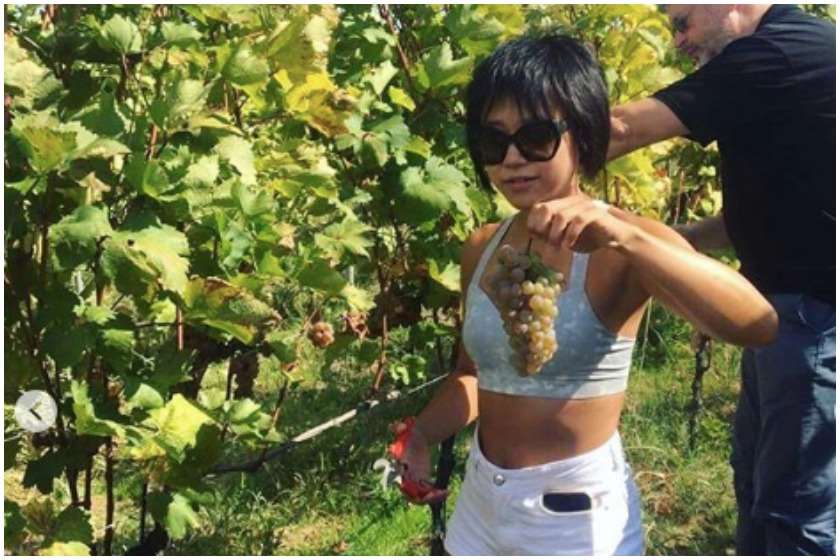 იუჯა ვანგი