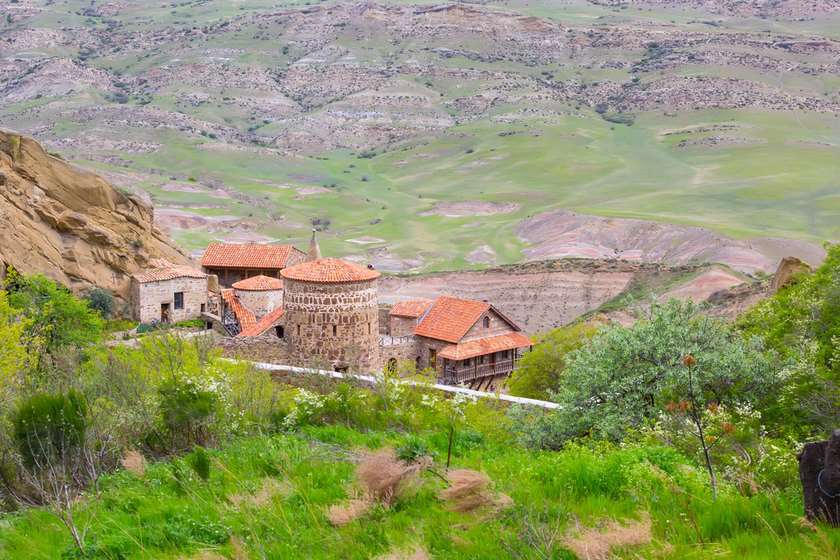 დავით გარეჯი