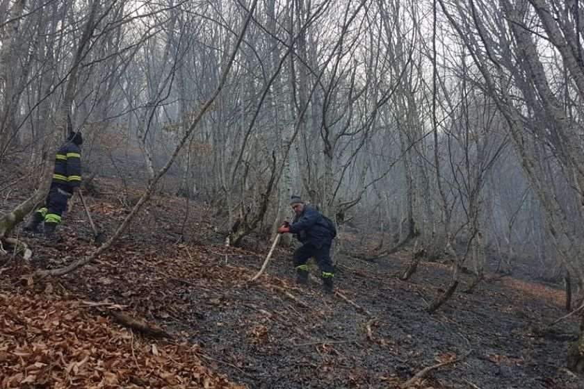 ეცერი ტყე ხანძარი