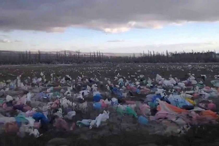 ლილოს ნაგავსაყრელი