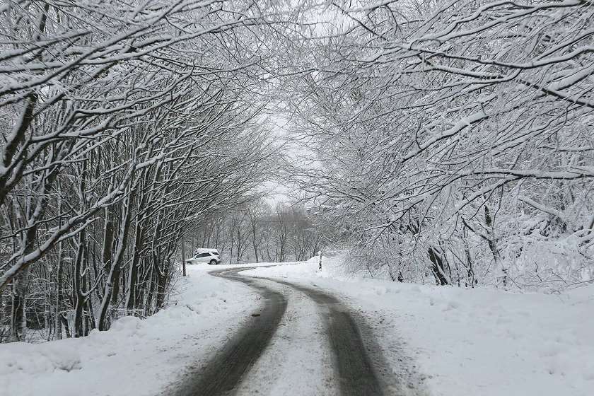 საავტომობილო გზების დეპარტამენტი