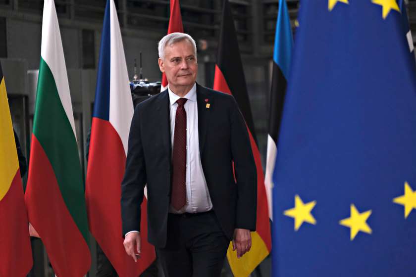 ანტი რინე
