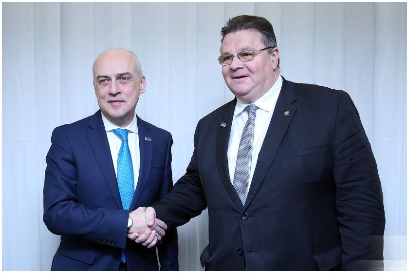 ლინას ლინკევიჩუსი დავით ზალკალიანი