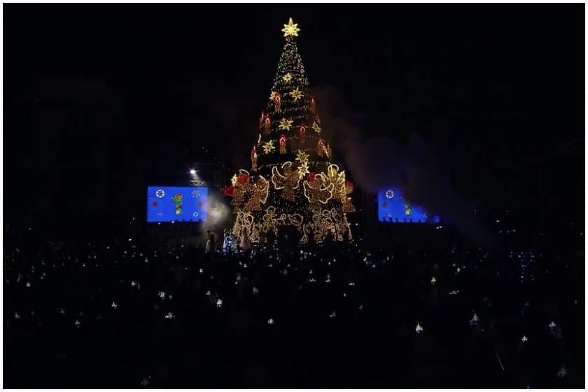 თბილისი ნაძვის ხე 