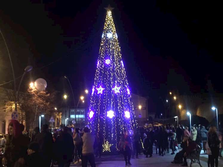 ნაძვის ხე