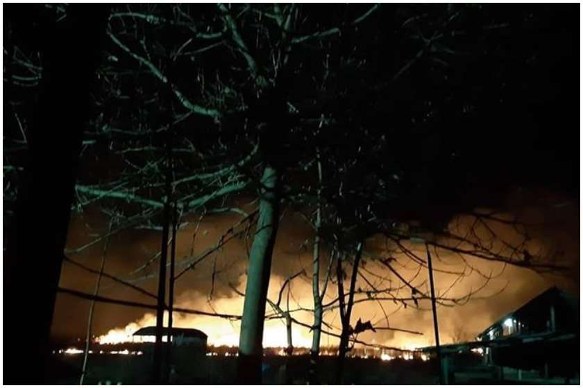 ტყის ხანძარი