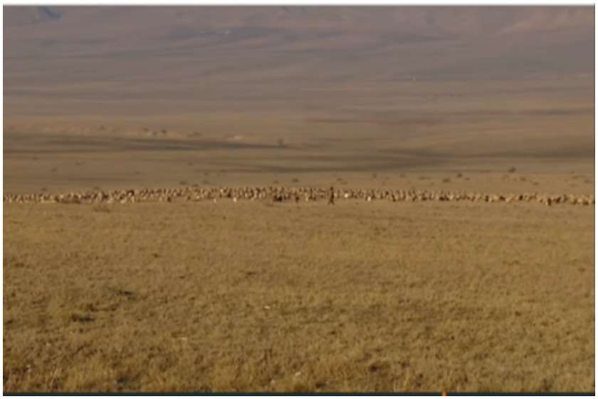 საქართველო-აზერბაიჯანი