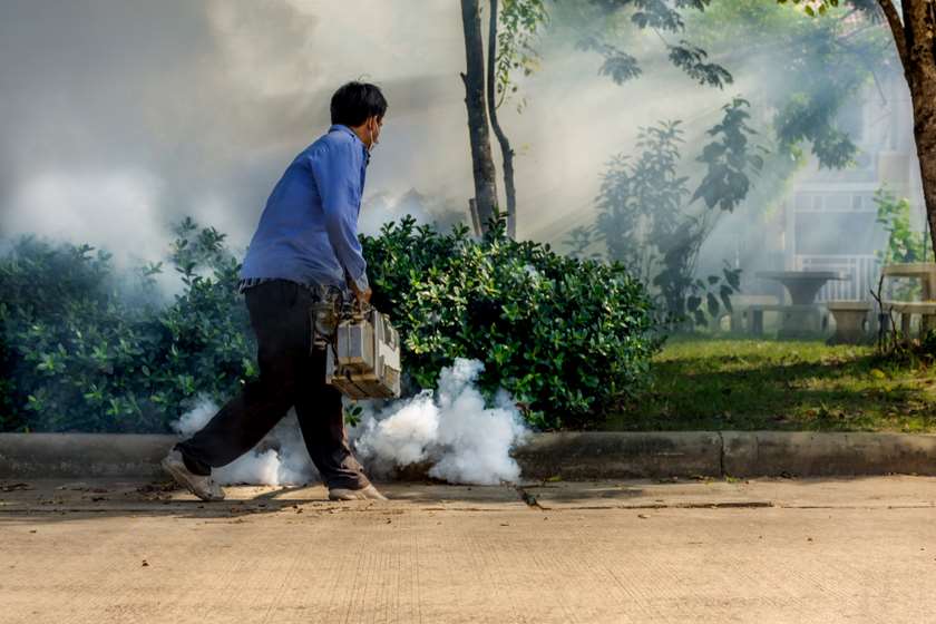 მალარია