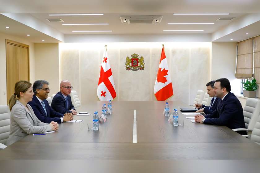 ირაკლი ღარიბაშვილი შეხვედრა